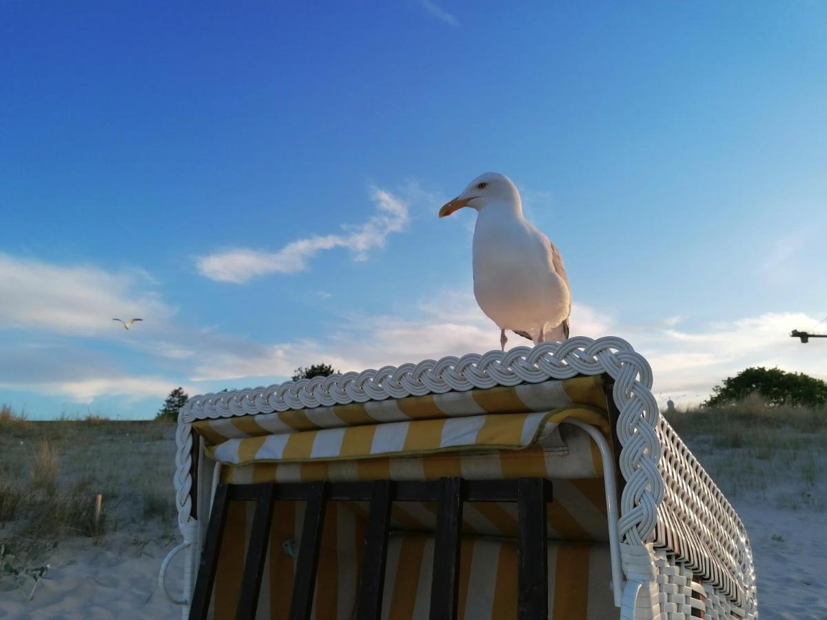 Ferienwohnung Strandburg Heringsdorf  Buitenkant foto